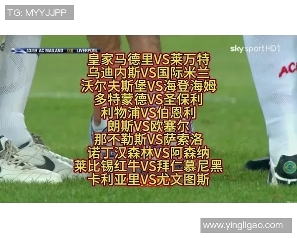 欧联杯激战：多特蒙德与那不勒斯战成平局全场沸腾的瞬间回顾