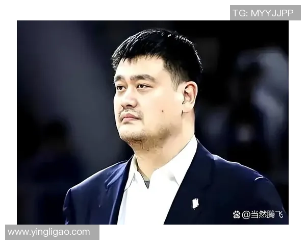 姚明在国际赛场上发现冲突的根源与解决之道探讨