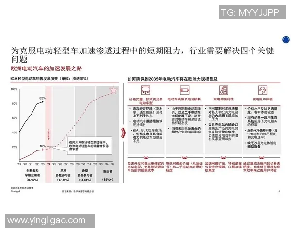 姚明的英雄之路与市场价值的深度解析与展望